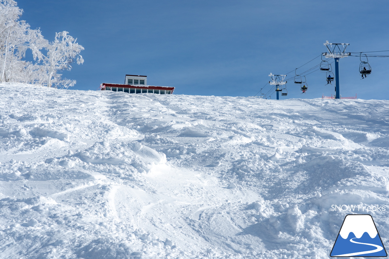 カムイスキーリンクス｜この上ないほど澄んだ青空と極上のパウダースノー。やっぱり『カムイ』は外れない！